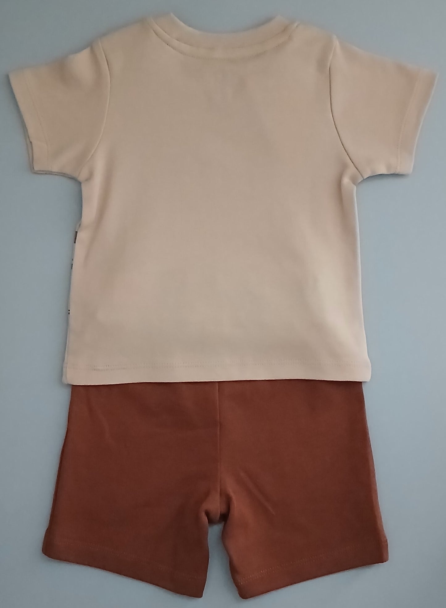 GRAHAM - A COORDINATED SET OF T-SHIRT & SHORTS