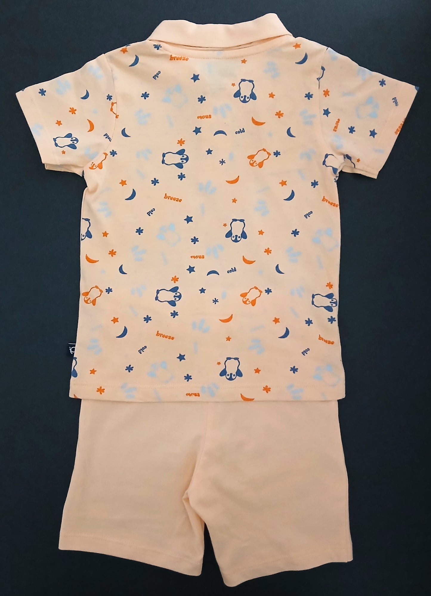 GRIFFIN - A COORDINATED SET OF T-SHIRT & SHORTS
