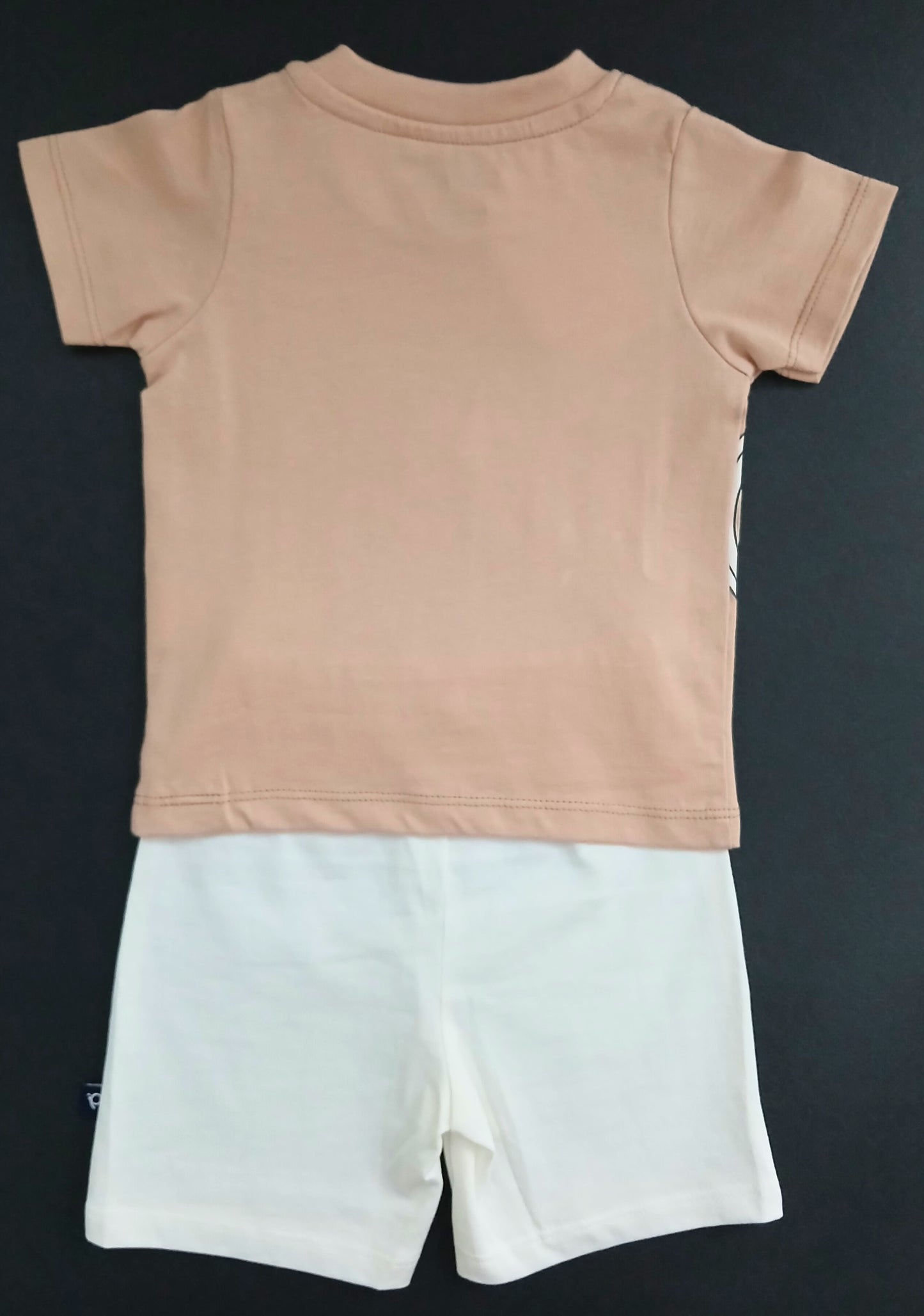 ROVAL - A SET OF T-SHIRT & SHORTS